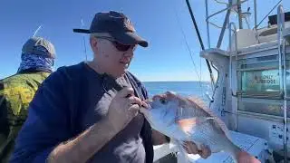 Mad Day with Shellcove Fishing Charter Oct 2025
