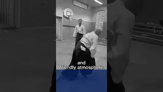 Aikido in Friendly Atmosphere Seishikan Aikido Den Haag
