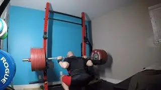 485 Squat - Squat Every Day