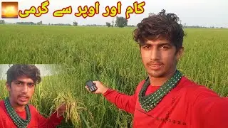 Hard Work Vlog ❤️ Kaam Aur Upar Se Garmi 🌇