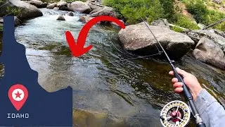 The BIG TROUT Hiding in This Little Stream Will SHOCK You! [Idaho Backcountry Fly Fishing!]