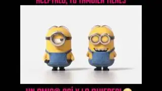 Minions de total un gas