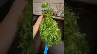 Gajar k Patton ki sabji🥕 #shorts #cooking #trending #shortvideo #ytshorts #short #youtubeshorts
