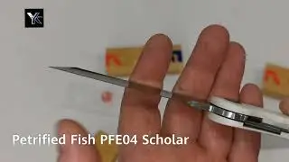 Petrified Fish PFE04 SCHOLAR