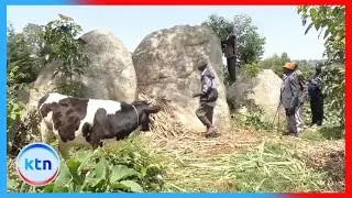 Historic Aldai stone in Nandi  linked to Kimnyoolei arap Turugat cracks