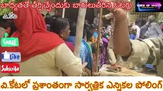 వికోటలో ప్రశాంతంగా ముగిసిన ఎన్నికలు #vkota #palamaner #ysrparty #tdp #politicalnews #eci