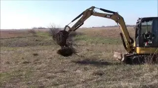 Thinning out 19 Acres of Trees