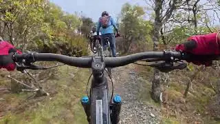 Blue Tier Forest Reserve - Blue Tier to Weldborough Pub MTB POV (November 2024)