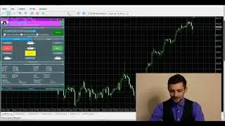 Симулятор рынка Meta Trader 5