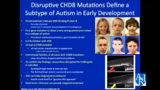GI issues & ASD Serotonin as a Potential Brain Gut Link