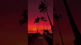 Havana - Camila Cabello | lyrics | aesthetic | whatsapp Status | English songs | sped up #lyrics 💕❤️