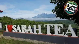 Sabah Tea Resort | Kinabalu National Park, Malaysia | Hotel Review 🏩