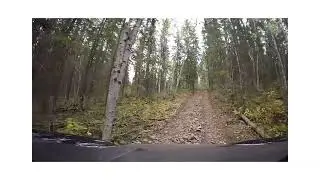 2025 Wolverine X4 riding Tangent Park Ab