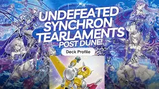 UNDEFEATED Synchron Tearlament Profile! Post DUNE | Yu-Gi-Oh!