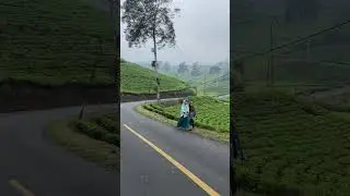 Jalan jalur cianjur selatan