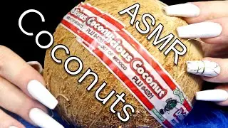 ASMR COCONUT SOUNDS | Tingly Trigger | Taping, Scratching, Carving, Crinkles, & More | JoWi ASMR