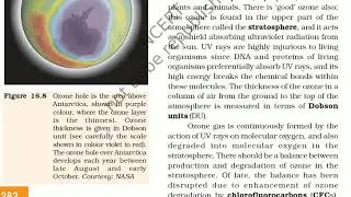 Ozone Depletion in the Stratosphere
