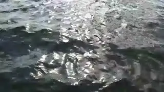 DSCN8315