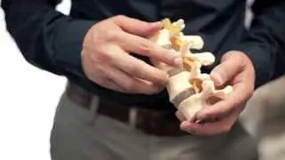 The Evidence Based Chiropractor- Your MD Marketing Solution