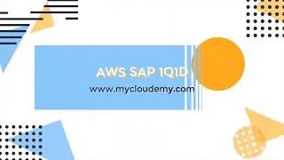 AWS SAP Certification Exam Question 21 - Network/Egress-Only Internet Gateway - 1Q1D