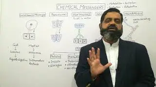 Hormones, Chemical Messengers Urdu /Hindi medium @prof.masoodfuzail| Pheromones | Neuropeptides