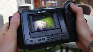 Birocratic - do gooders (Vista Lapse) VHS video of cat