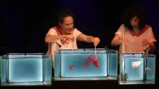 ים קטן - תאטרון בובות בתוך אקווריום  Tiny Ocean - Puppetry in an Aquarium
