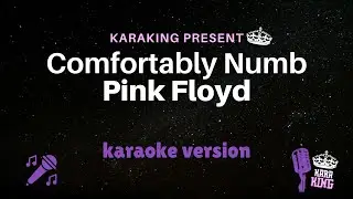 Comfortably Numb karaoke - Pink Floyd - Version Lyrics from karaking Karaoke