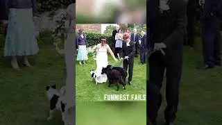 Funniest Wedding compilation