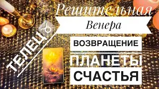 Телец ♉️ Прогноз с 3 по 9 февраля 2025