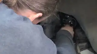 Inner Tie Rod Tool Review & How To Change An Inner Tie Rod - Quick and Easy