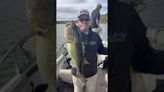 Pulse Fish Lures Side Piece is a fish catcher