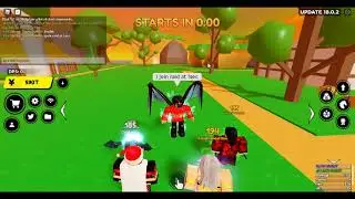 Raid Glitch in Anime fighter simulator