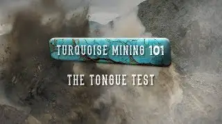 The Tongue Test | Turquoise Fever