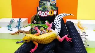 Geckos Planet WOW 20 animales de una gran colección