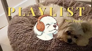Evening Rest: Peaceful Piano for You and Your Sleeping Dog