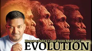 EVOLUTION - The Story Of Human Origin ll हमारी पुंछ कहां गई ll Ignite Thought 