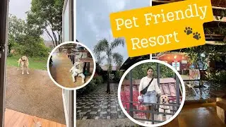 Best Pet friendly Resort 🏝️🐾