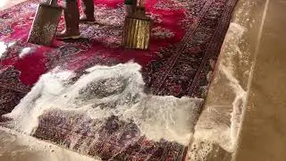 How to Clean & Sanitize an Antique Rug | Behnam Rugs Dallas