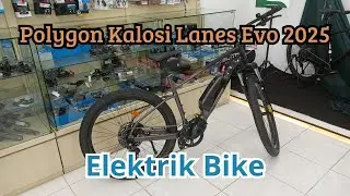 Polygon Kalosi Lanes Evo | Electric Bike