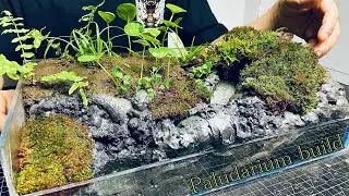 How I made a Stunning Paludarium with a Flowing Stream | Paludarium Build
