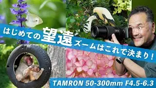 タムロン50-300mm望遠レンズを試した結果！軽さとパフォーマンスがスゴイ！