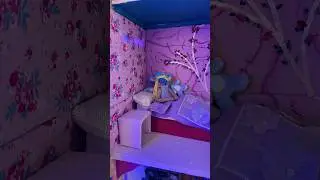 D&iacute;a 155 de 360. Alicia ha dormido mucho estos d&iacute;as.-T.S.