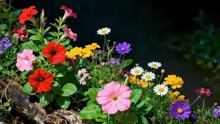 Florals Happiness 🌼🌿🌹 That'll Connect You to Nature #gardendelight #gardenplants #nature 