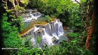 Let the waterfall wash away your stress Relaxing waterfall sounds with peaceful music #naturerhythms