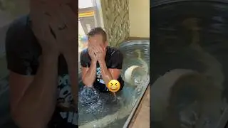 Swimming With A GIANT PYTHON!!! 😱🐍#shorts #snake