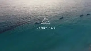 Ben B&ouml;hmer & Wood- Velvet Rebellion (Sandy Sax Edit)