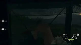 elk noises