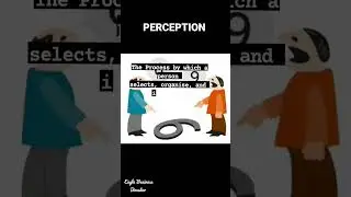 Perception - Marketing #perception #customer #marketing #perceptions #consumer