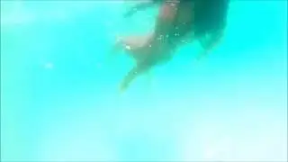 TripZapp